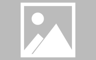 周口最佳网站建设（网站建设哪个平台最好）